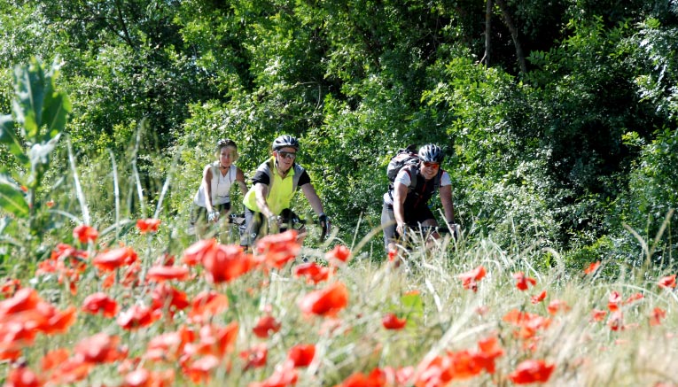 Bptq-provence-biking-1